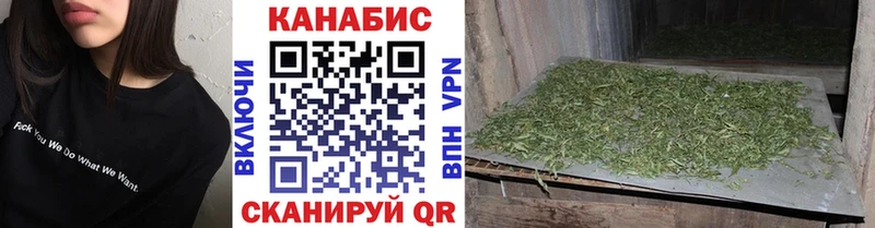 где найти наркотики  Богучар  mega ссылки  Бошки марихуана сатива 